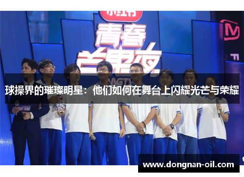 球操界的璀璨明星：他们如何在舞台上闪耀光芒与荣耀