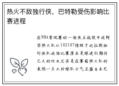 热火不敌独行侠，巴特勒受伤影响比赛进程