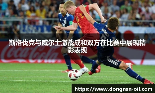 斯洛伐克与威尔士激战成和双方在比赛中展现精彩表现