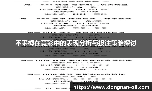 不来梅在竞彩中的表现分析与投注策略探讨